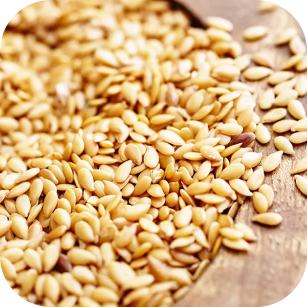 Flaxseeds Processing