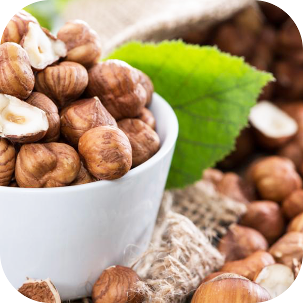 Hazelnut Processing