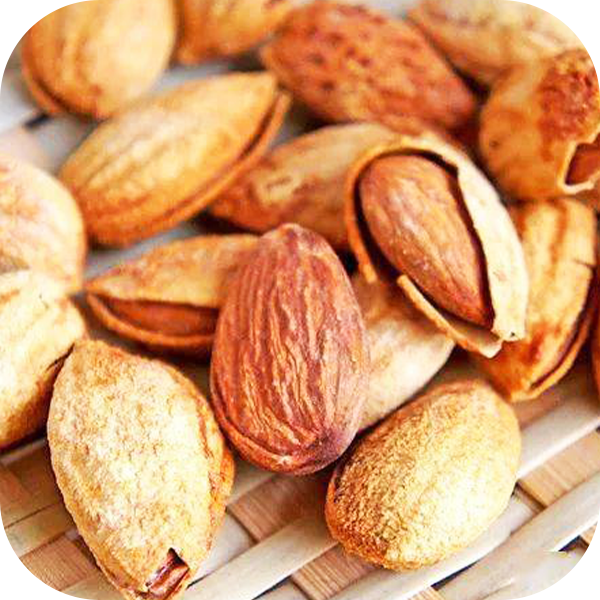 Badam Processing