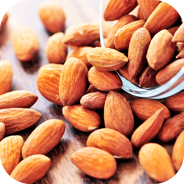 Almond Processing