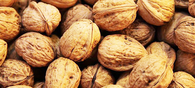 Walnut Processing Solutions