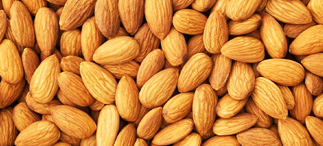 Almond Processing Solutions