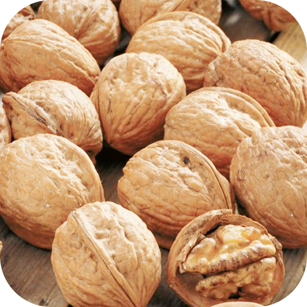 Walnut