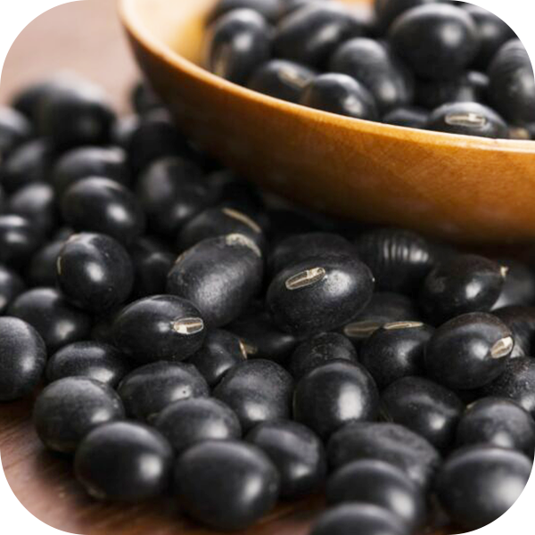Black Soybeans