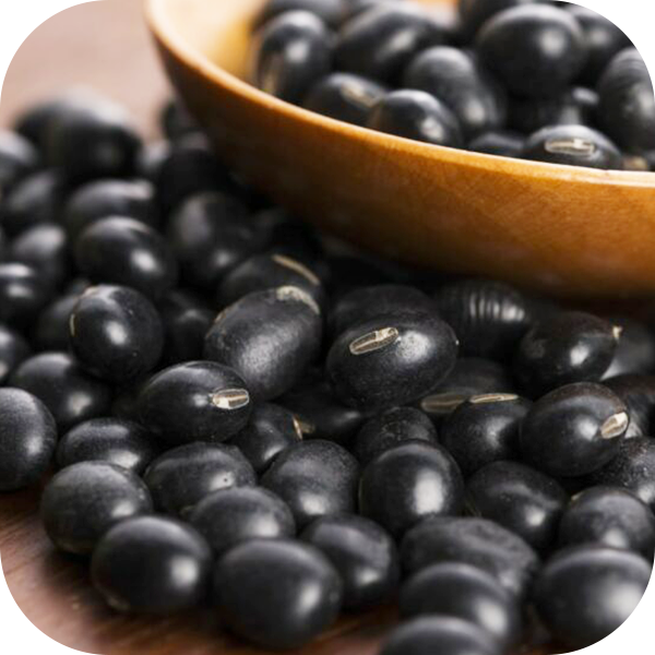 Black Soybeans Processing