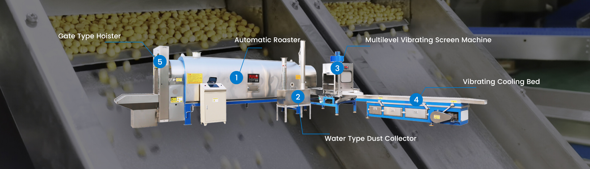 Roasting Production Line