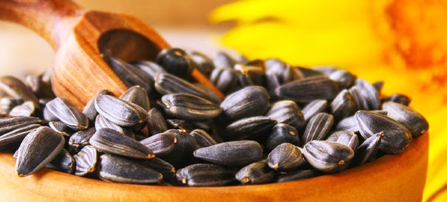 Sunflower Seed Processing Solutions