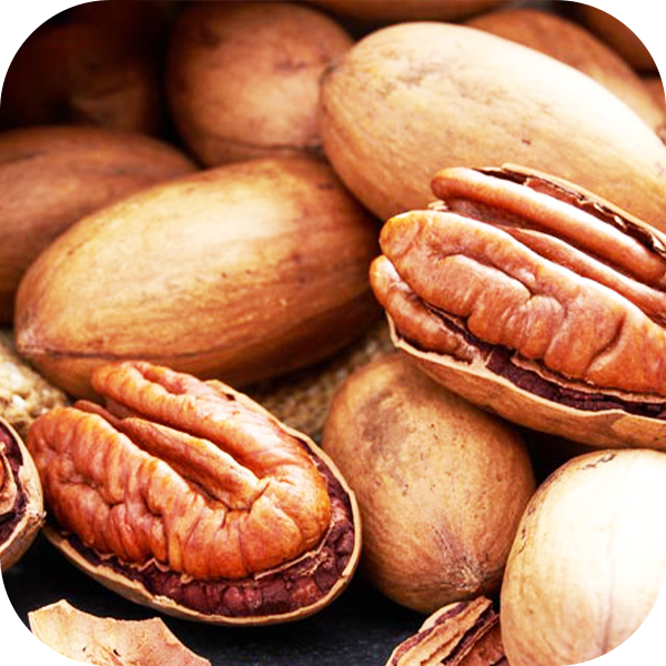 Pecans Processing