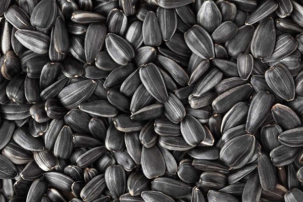 Sunflower Seeds