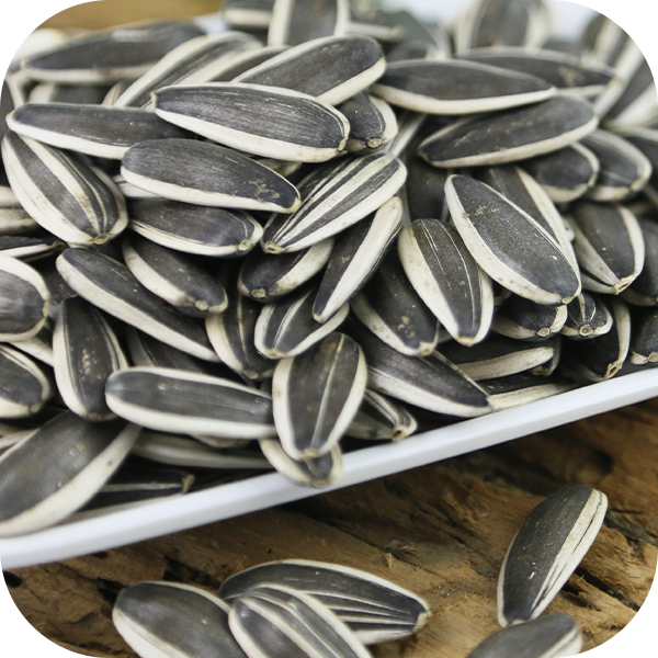 Sunflower Seeds Processing