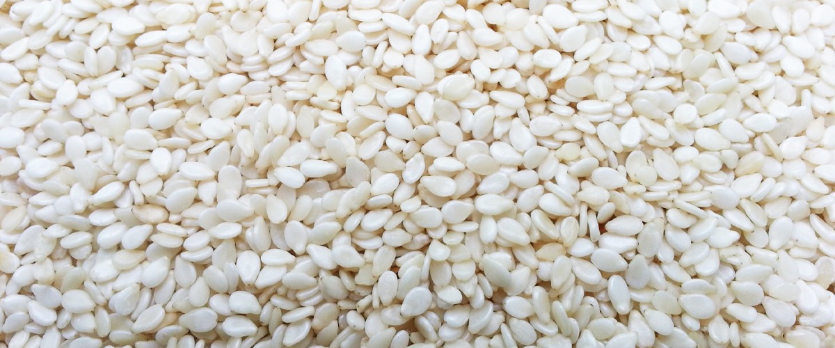 Sesame
