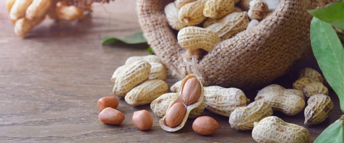 The Rise of Customizable Nut Processing Lines for Small and Medium Enterprises1