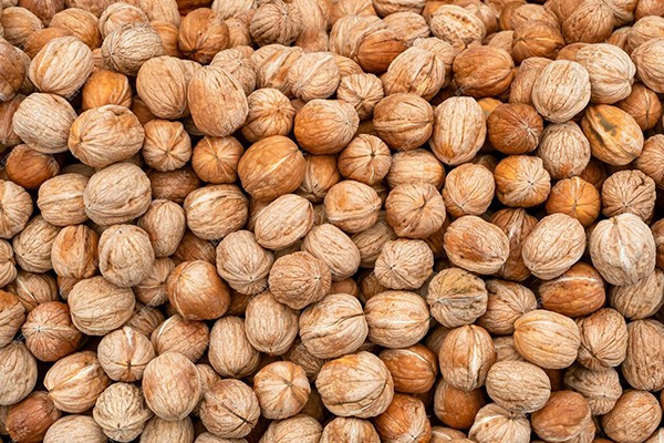 Walnut