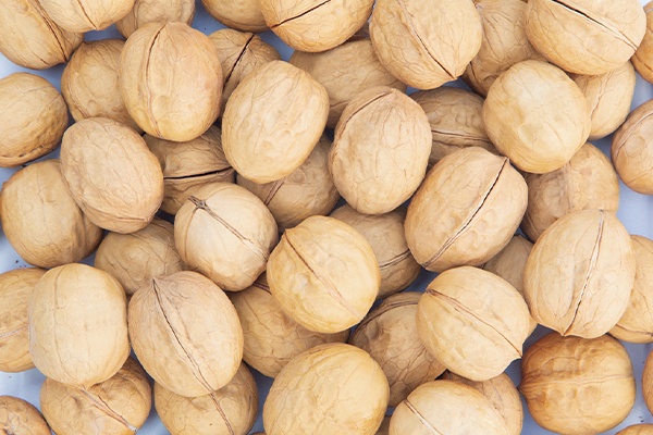 Walnut