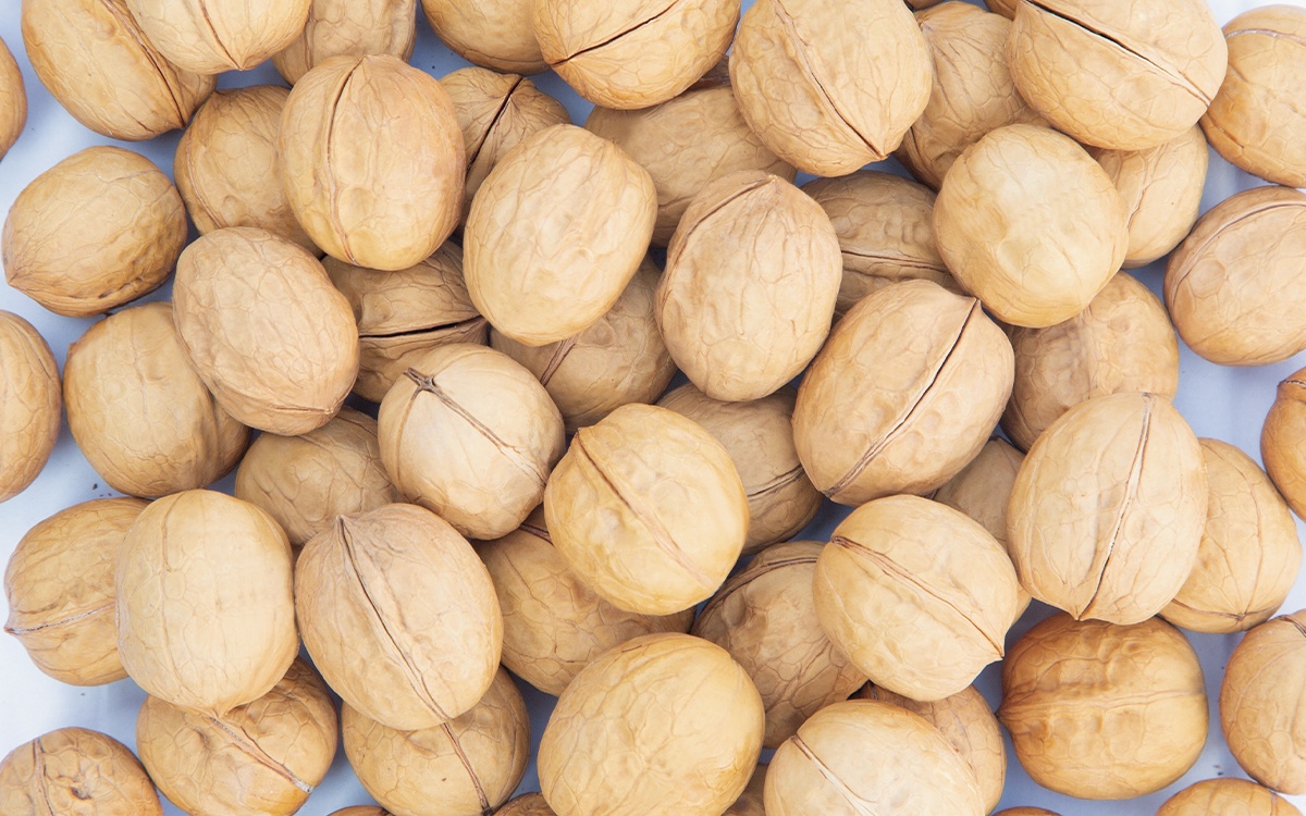 Walnut