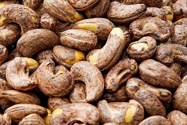 Cashews