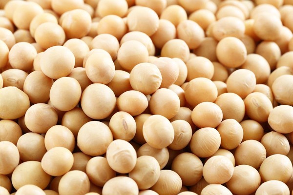 Soybeans