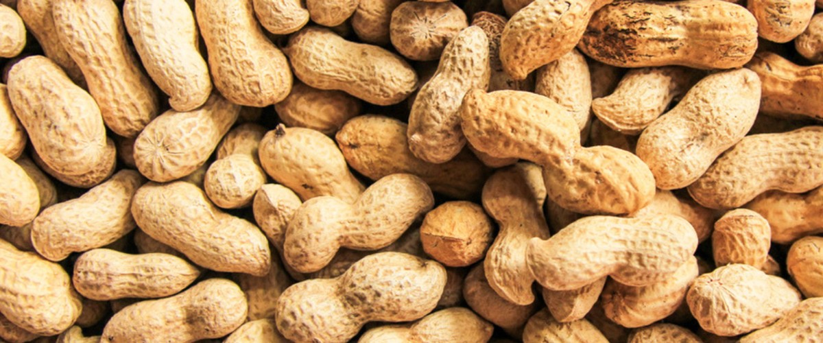 Peanuts