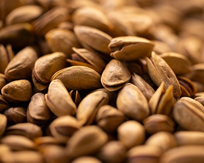Why Modular Nut Processing Lines Are Gaining Popularity Among Startups