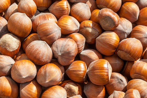 Hazelnut