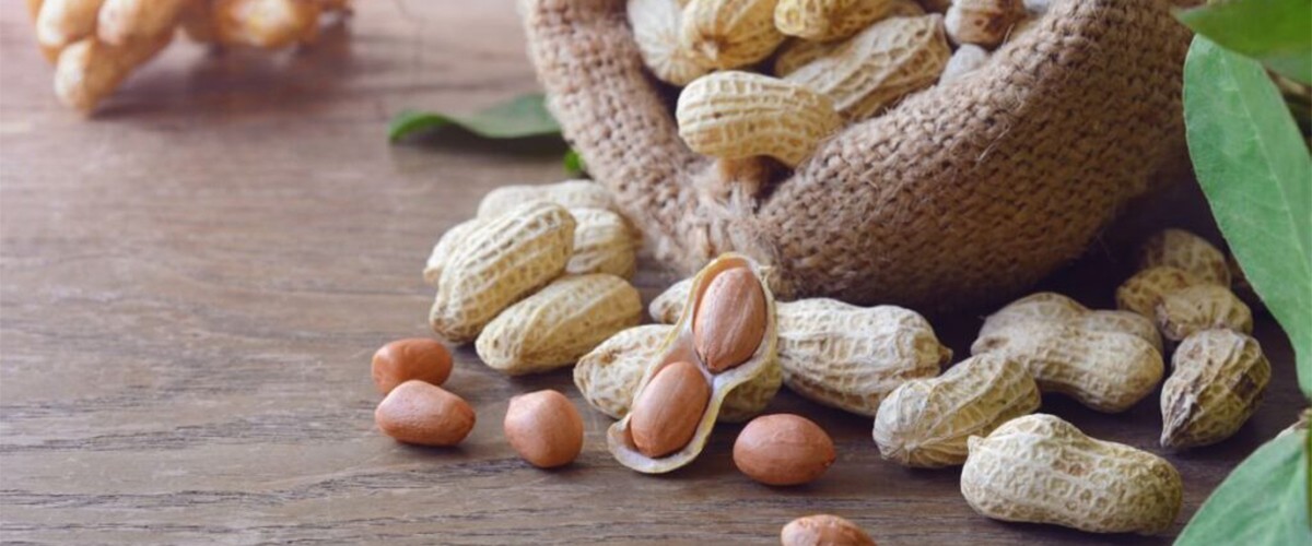 From Manual to Automated2