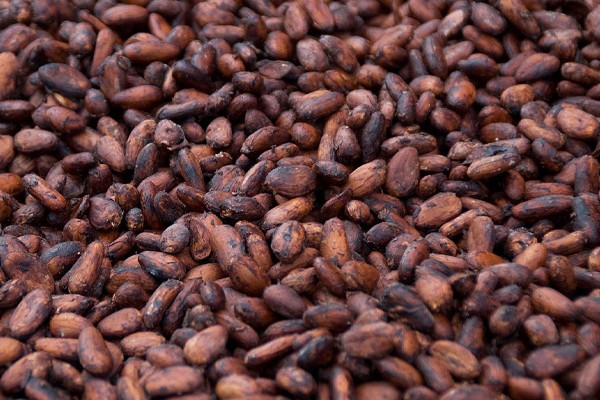 Cocoa Beans