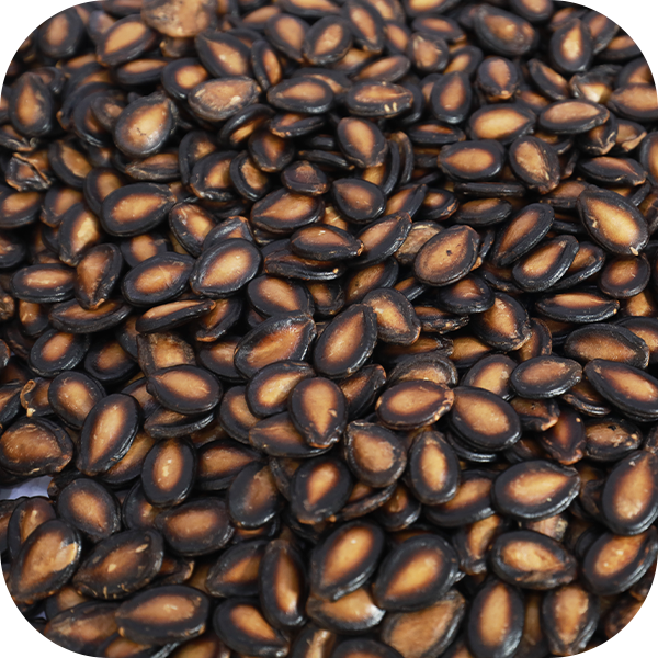 Watermelon Seeds