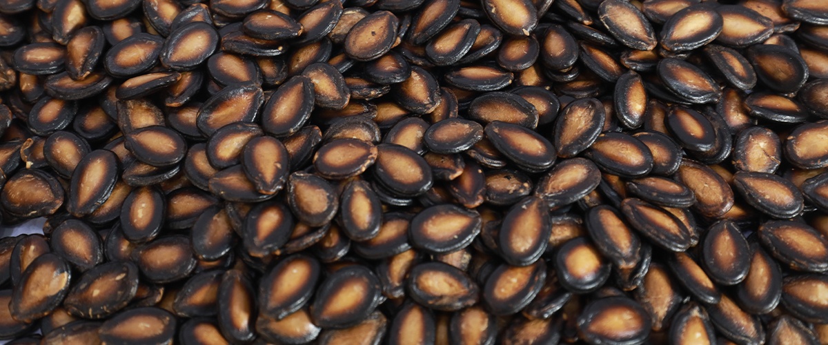 Watermelon Seeds