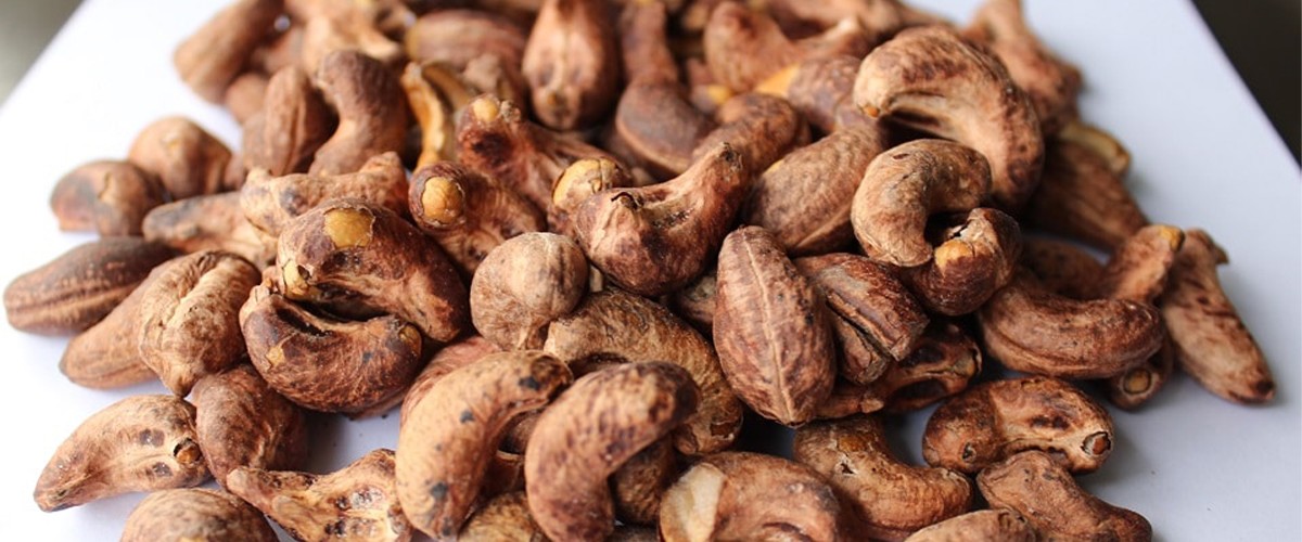 The Rise of Customizable Nut Processing Lines for Small and Medium Enterprises2