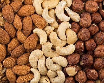 Energy-Efficient Nut Dryers: What To Look for in Your Next Upgrade