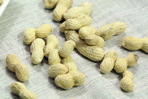 Peanuts