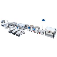 Daily Capacity 10tons Watermelon Seeds Roaster Production Line
